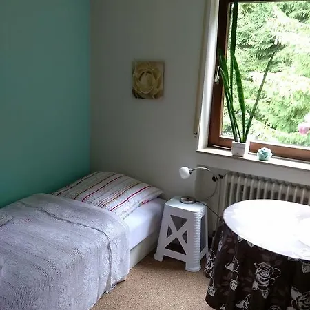 Tannhaeuser B&B Bad Duerrheim Room photo